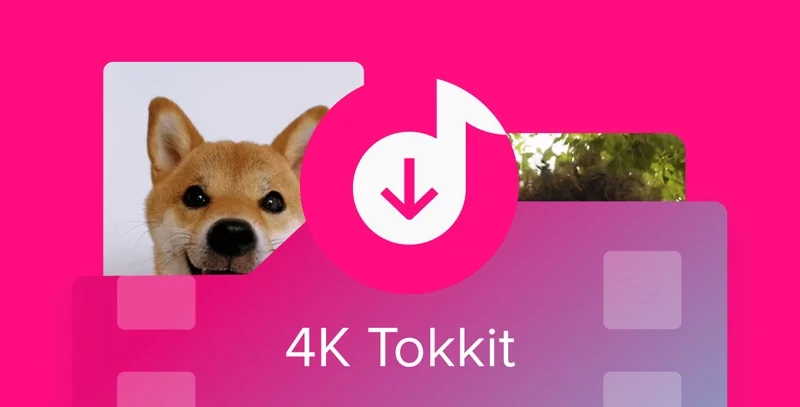 4K Tokkit — изображение 1