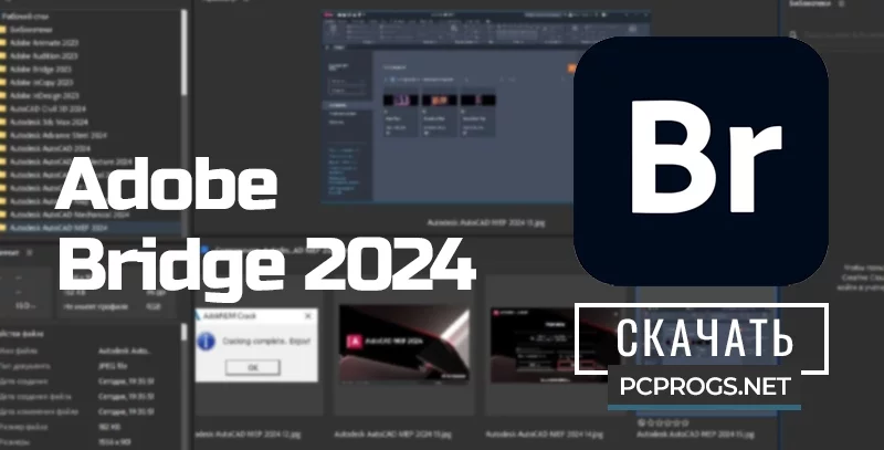 Adobe Bridge — изображение 1