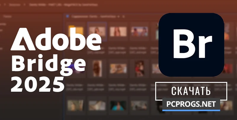 Adobe Bridge — изображение 1