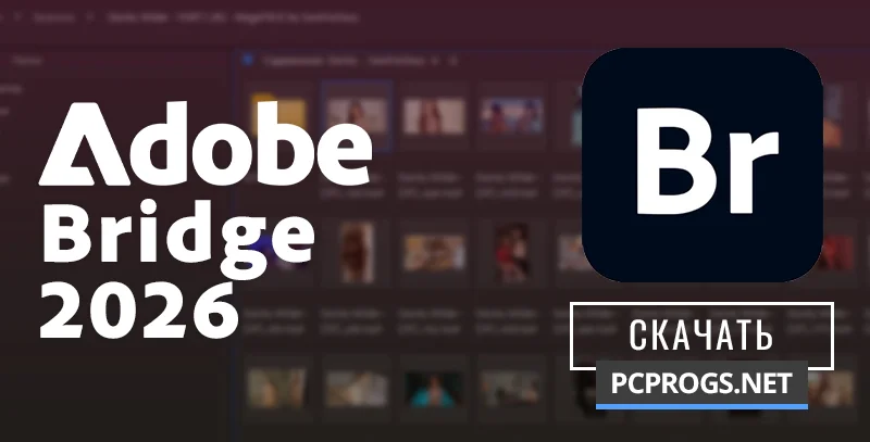 Adobe Bridge — изображение 1
