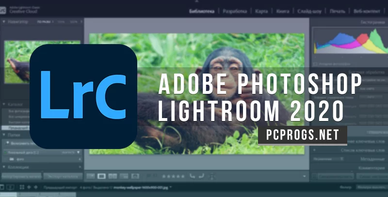 Adobe Photoshop Lightroom Classic — изображение 1