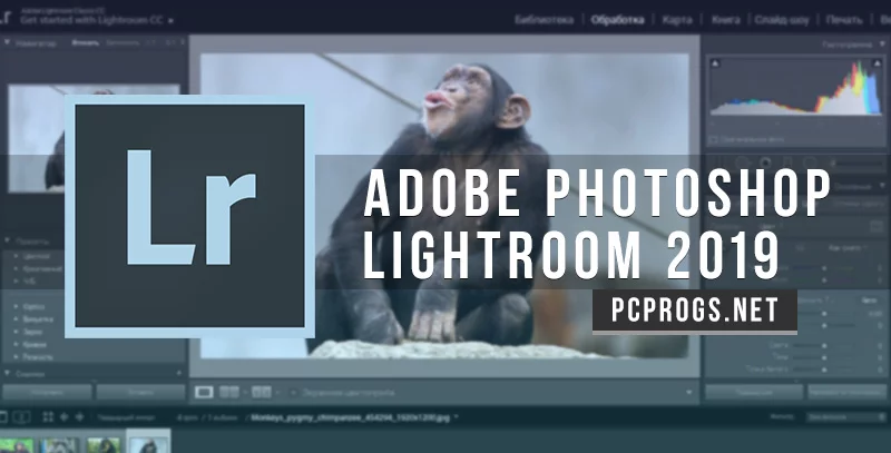 Adobe Photoshop Lightroom Classic — изображение 1