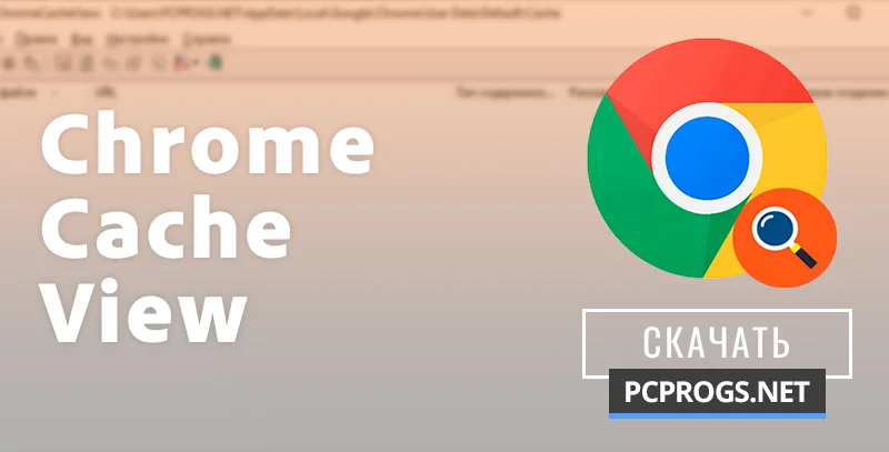 ChromeCacheView — изображение 1