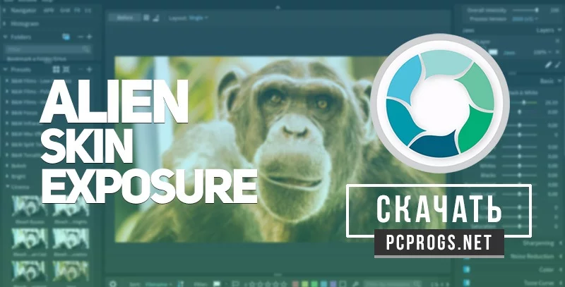 Exposure X — изображение 1