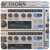 Dmitry Sches Thorn