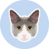 EF File Catalog 26.05 + crack