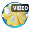 iPixSoft Flash Slideshow Creator 7.0.0 + crack
