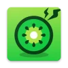 Kiwi System Info