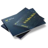 LimitOne