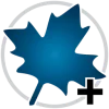 MapleSim