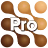 Mocha