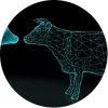 Polygon Cruncher