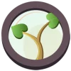 My Family Tree