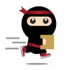 Ninja Pinner