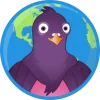 Pidgin