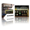 Pulsar Echorec