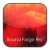 MAGIX Sound Forge Audio Studio Pro 17.0.2.109 скачать торрент