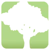 SpeedTree Modeler Cinema Edition 10.0.1 скачать торрент