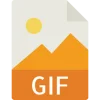 ThunderSoft GIF to Video Converter