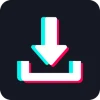 TikTok Downloader 3.3.5