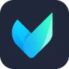 Vidmore Video Converter