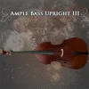 Ample Sound Ample Bass Upright 4.0 + crack
