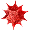 Wolfram Mathematica 15.0 торрент + активация
