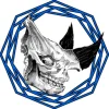 Aurora DSP Rhino