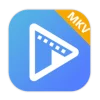 AVAide MKV Converter 1.0.16 + активация