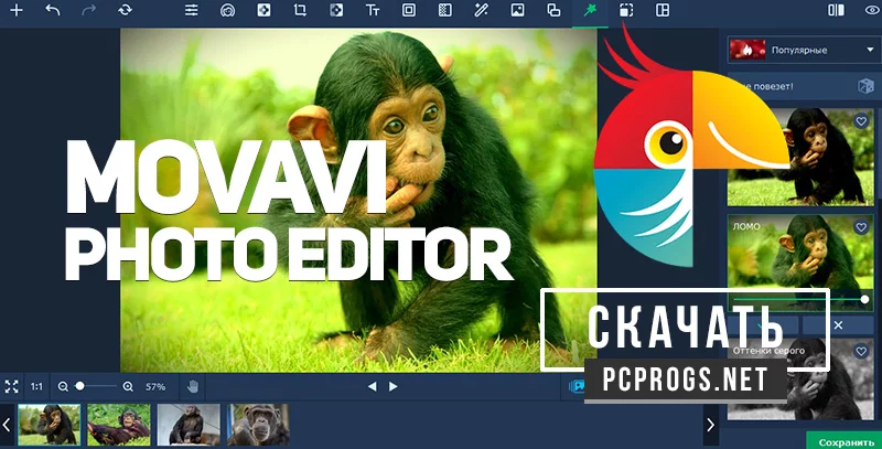 Movavi Photo Editor — изображение 1