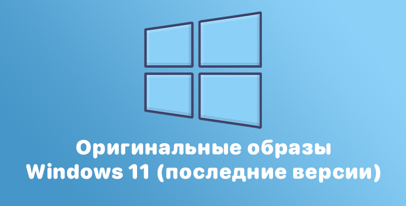 Windows 11