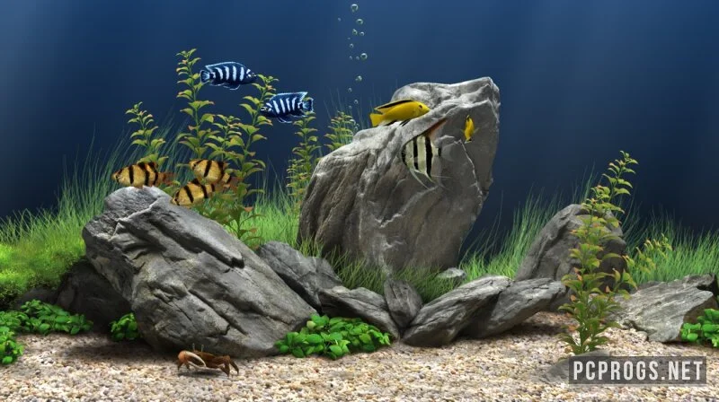 Dream Aquarium Screensaver — изображение 2