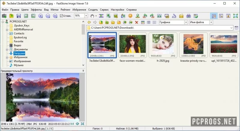 FastStone Image Viewer — изображение 1