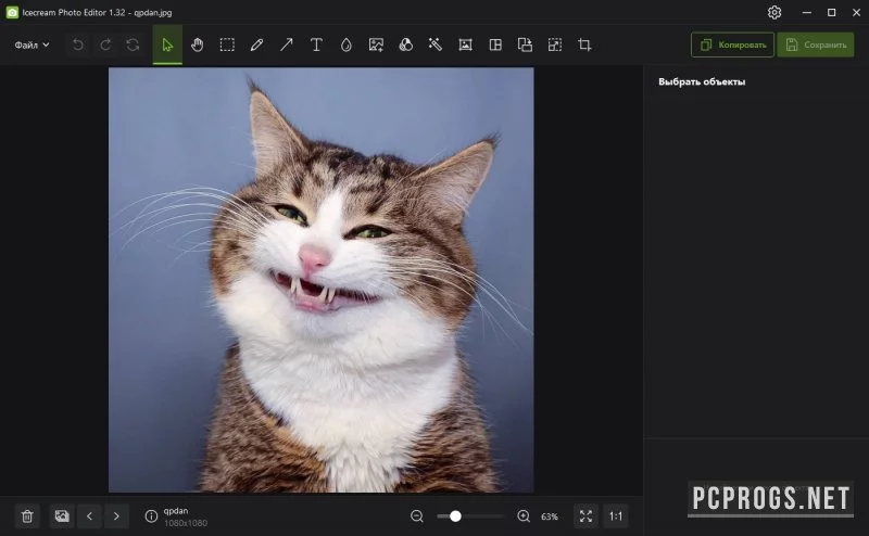 Icecream Photo Editor — изображение 2