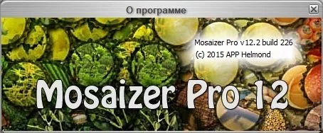 Mosaizer — изображение 3