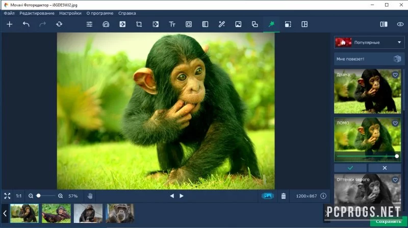 Movavi Photo Editor — изображение 3