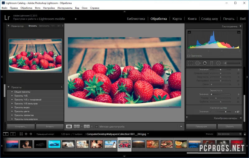 Adobe Photoshop Lightroom CC — изображение 3