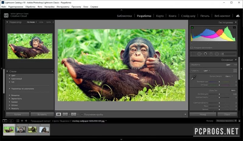 Adobe Photoshop Lightroom Classic — изображение 3