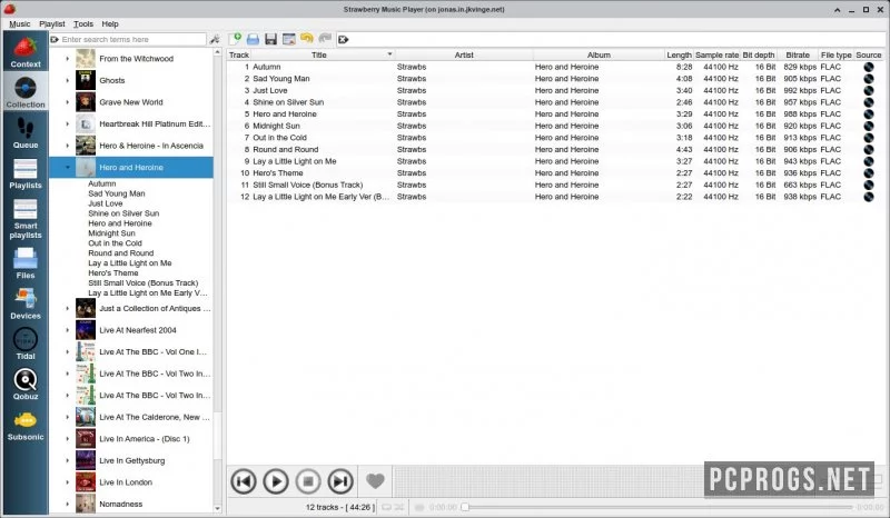 Strawberry Music Player — изображение 2