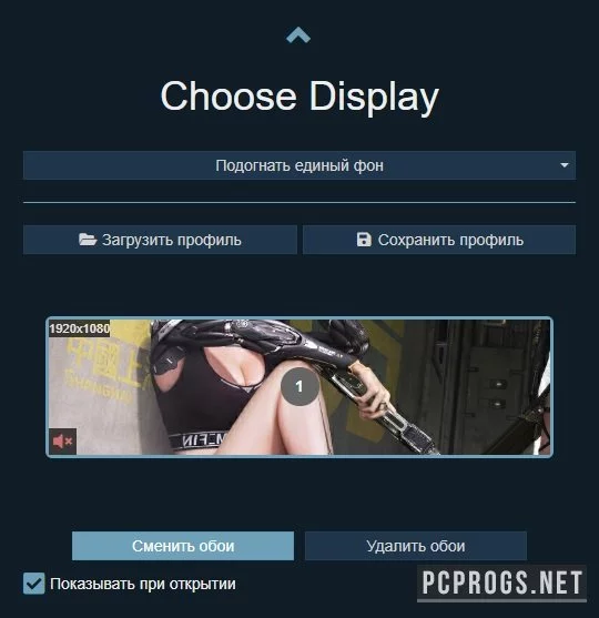 Wallpaper Engine — изображение 3