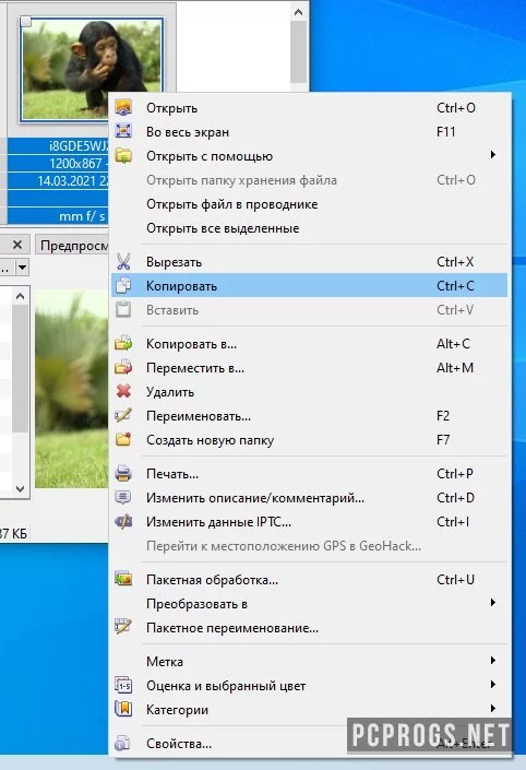 XnViewMP — изображение 3