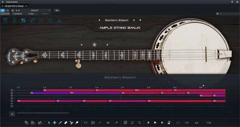 Ample Ethno Banjo — изображение 2
