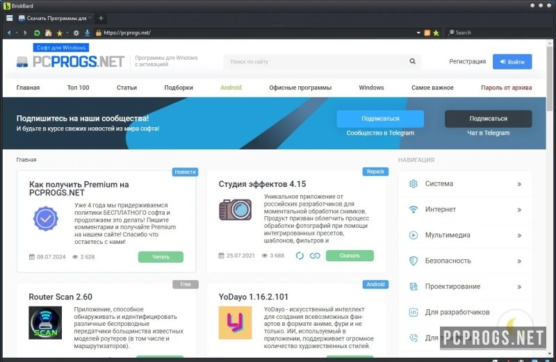BriskBard — изображение 2