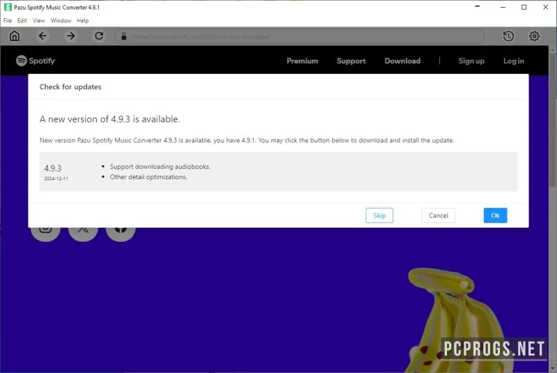 Pazu Spotify Music Converter — изображение 1