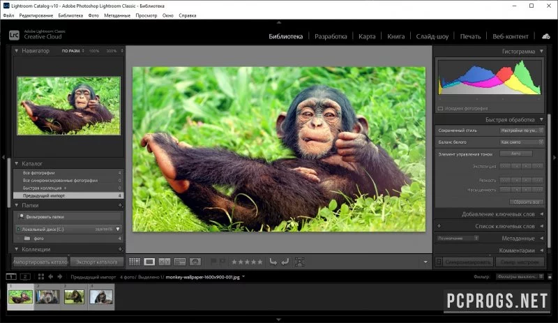 Adobe Photoshop Lightroom Classic — изображение 2