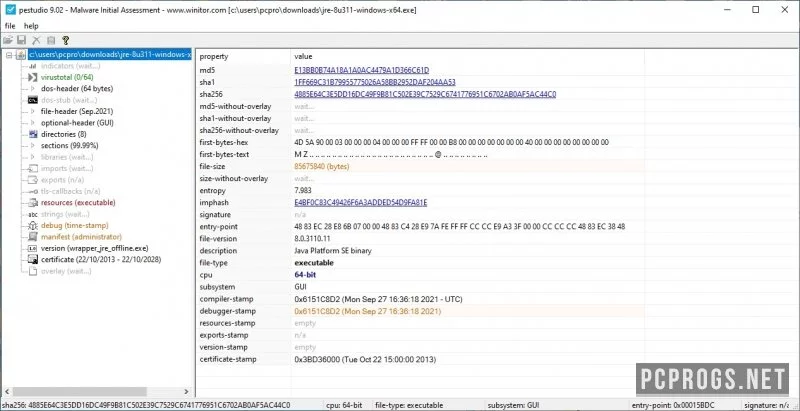 PeStudio — изображение 1