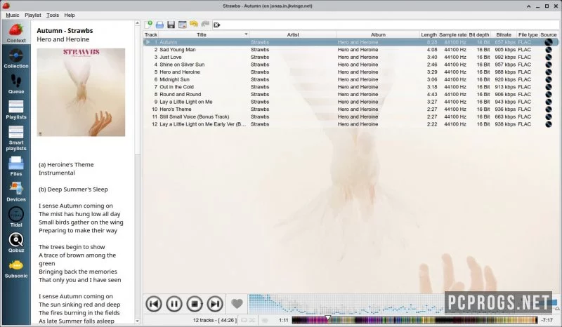 Strawberry Music Player — изображение 3
