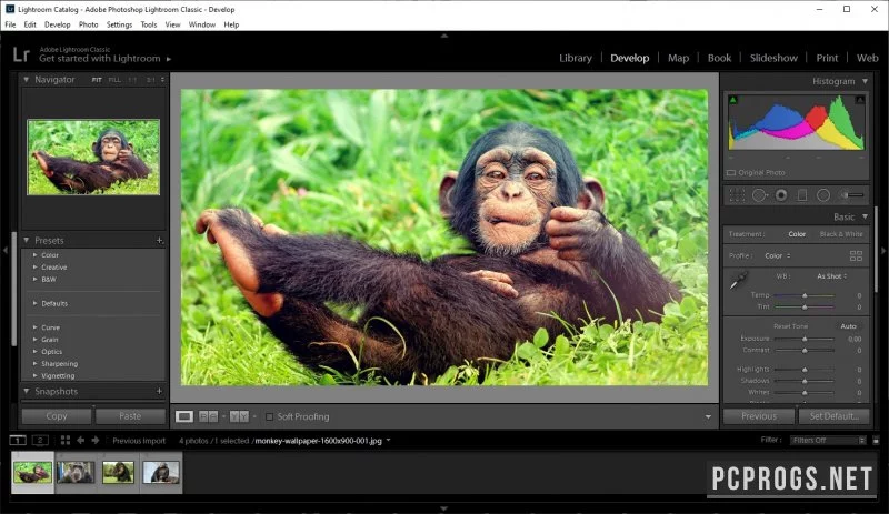 Adobe Photoshop Lightroom Classic — изображение 4