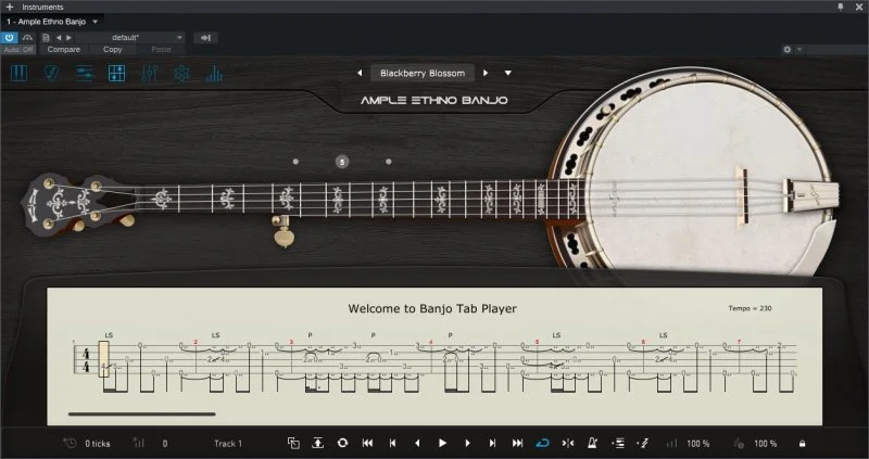 Ample Ethno Banjo — изображение 3