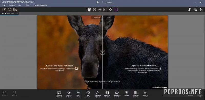 Corel Paintshop — изображение 3